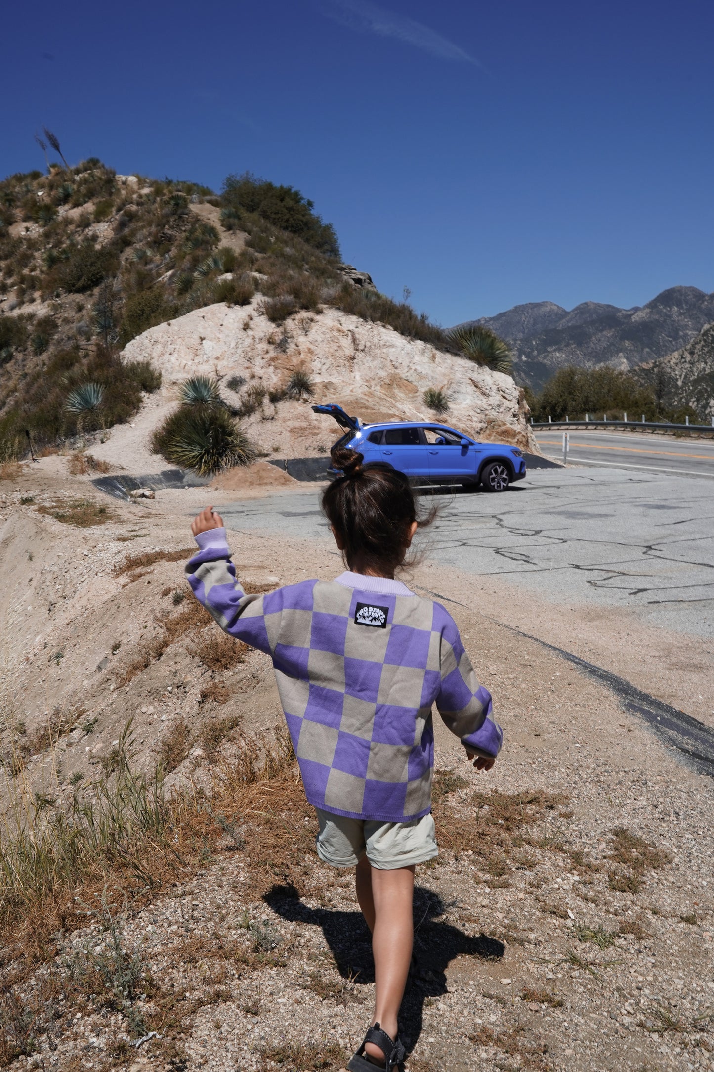 Wild Ride Kids Sweater
