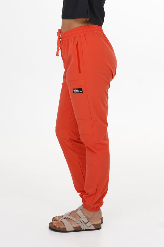 Vagabond Hiking Pants