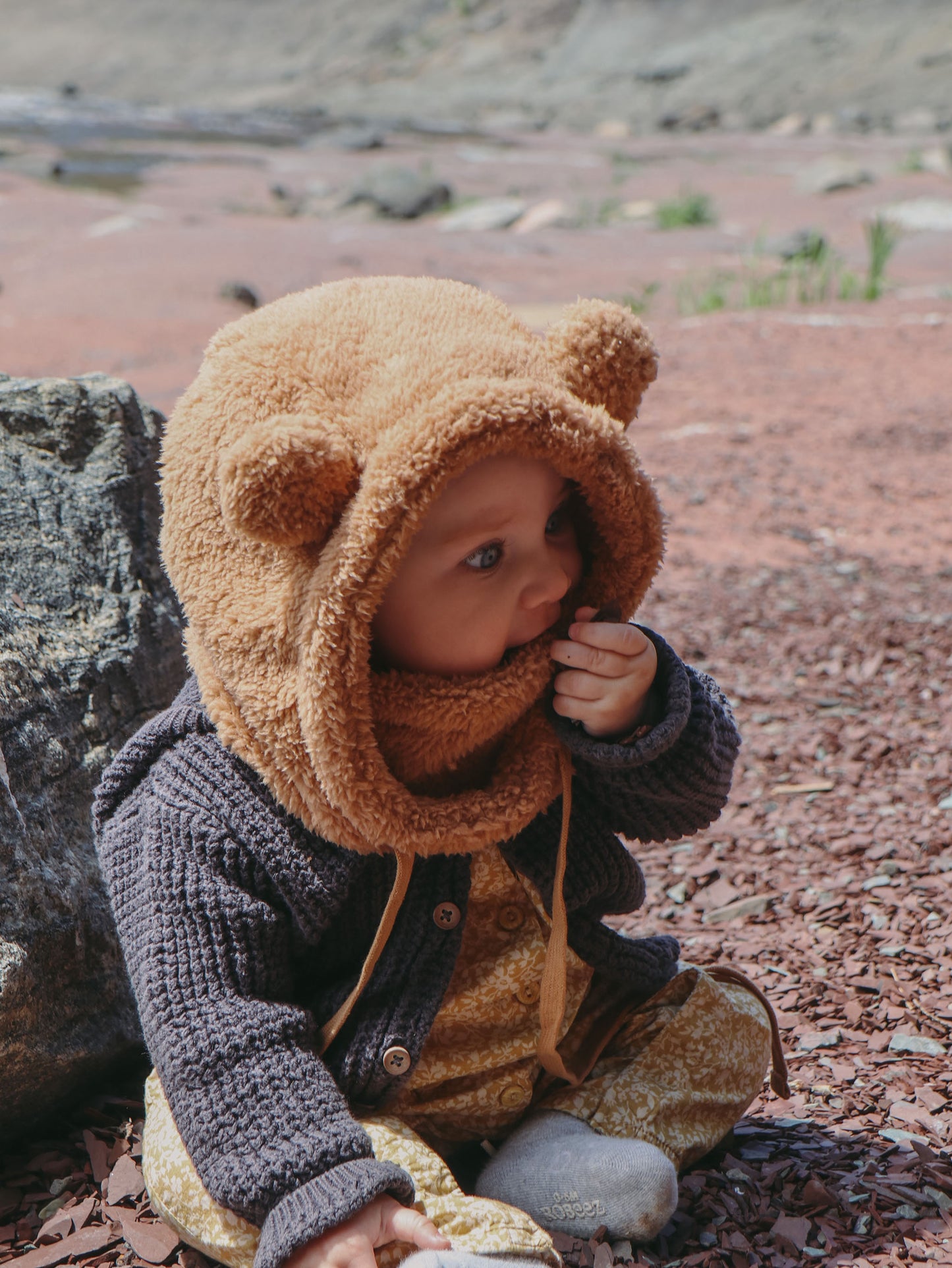 Load image into Gallery viewer, Teddy Rider Hood
