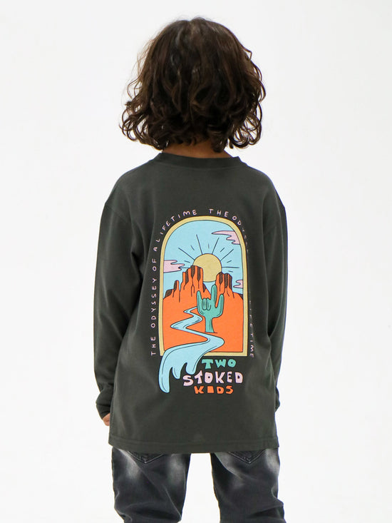 Load image into Gallery viewer, Desert Life Longsleeve
